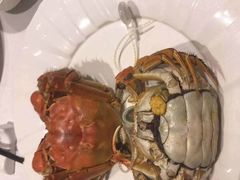 -新花城蟹粉馆(乌鲁木齐店)