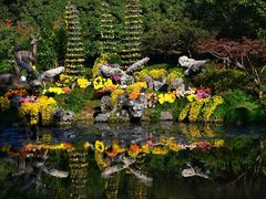 -杭州植物园