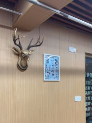 -纯剪男士理发馆·烫染专业店