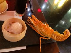 彩海轩澳龙大虾饺-海航大厦万豪酒店彩海轩中餐厅(霄云路店)