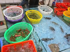 -隆都四季香饭店(碧海路店)