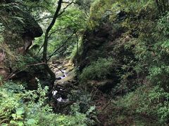 -重庆海昌加勒比海水世界