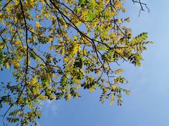 -湖洞水自然风景区