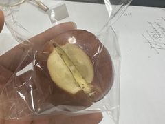 -WHEN PIGS FLY当猪飞