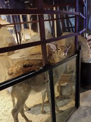 -酷嗒动物文化乐园(cutezoo西溪乐天城店)