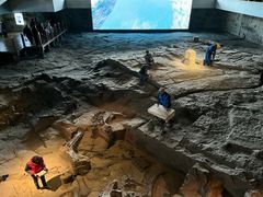 -自贡恐龙博物馆