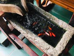 -兵哥豌豆面(雅颂居店)