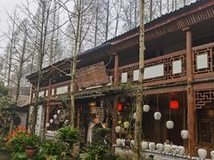 -青城甲(青城山店)