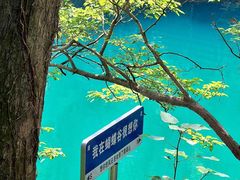 -鼎湖山风景区