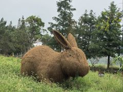 -嘉北郊野公园