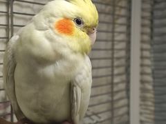 -联合动物医院(光谷诊疗中心)