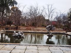 -广富林郊野公园
