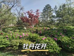 -西海子公园