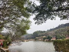 -南国桃园旅游度假区