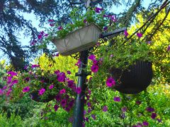 -辽宁友谊宾馆
