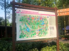 -东平国家森林公园