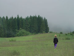 -玉舍国家森林公园