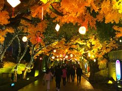 -横店影视城梦幻谷园区