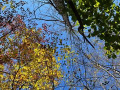 -玉渡山自然风景区