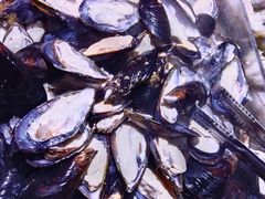 -聚盛源蒸汽海鲜火锅烤肉自助(巨川金海岸购物广场店)