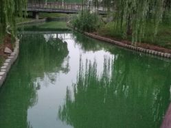 -剑鱼皮划艇俱乐部(石湖基地)