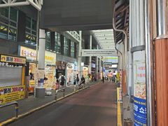 -西归浦每天偶来市场