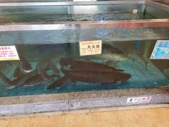 -花好悦园(瀛洲店)