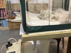 -美联众合动物医院·24h转诊中心