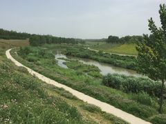 -洨河生态公园