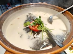 -全乐鱼馆·淳牌有机鱼直营店