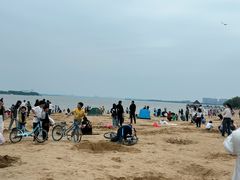 -瑶湖郊野森林公园