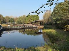 -同里国家湿地公园
