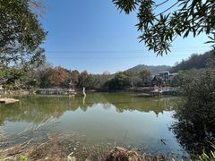 -青龙山国家森林公园