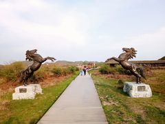-贵州百里杜鹃风景名胜区