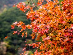 -云丘山景区