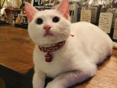 -新月集庭院咖啡馆(老邮局店)