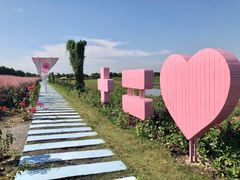 -嘉北郊野公园北游客中心-地上停车场