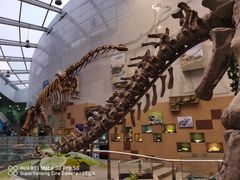 -陕西自然博物馆