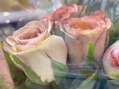 -循礼门鲜花花市(武汉循礼门店)