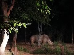 -清迈夜间动物园