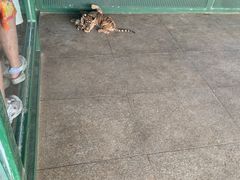 -秦皇岛野生动物园
