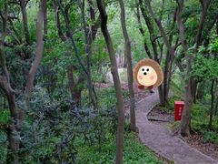 -上海佘山国家森林公园天马山园