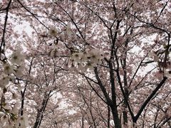 -龙美术馆西岸馆-停车场