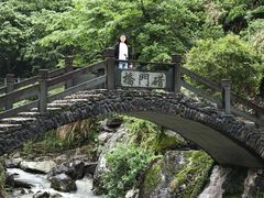 -楠溪江石桅岩