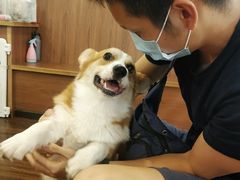 -柯斗斗主题餐厅·狗咖·围炉煮茶·茶饮(国瑞升平里店)