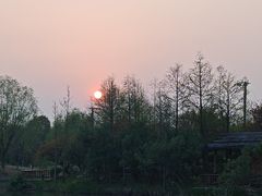 -上海长兴岛郊野公园