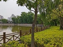 -迎泽公园