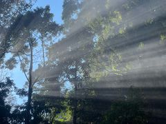 -莫里热带雨林景区