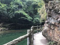 -午潮山国家森林公园