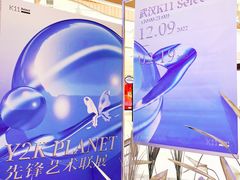 -武汉光谷K11